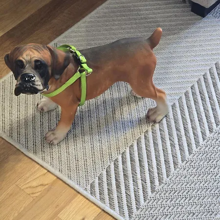 Mirador Del Pantano2 Lejlighed *