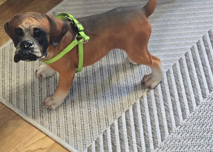 Mirador Del Pantano2 Appartement *